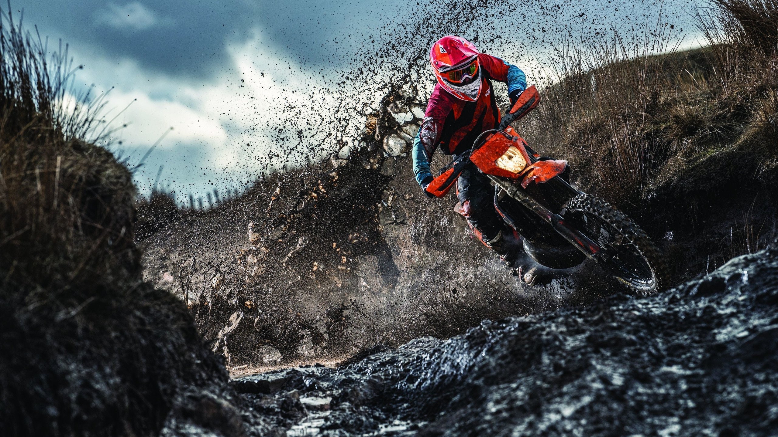 新星崛起之夜,拉梅洛·鲍尔用全能表现征服麦迪逊,奇才力克尼克斯证明未来已来